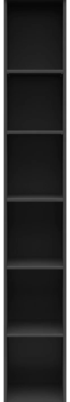 Regal Multi-Stauraum Typ 7 anthrazit B/H/T: ca. 30x195x40 cm