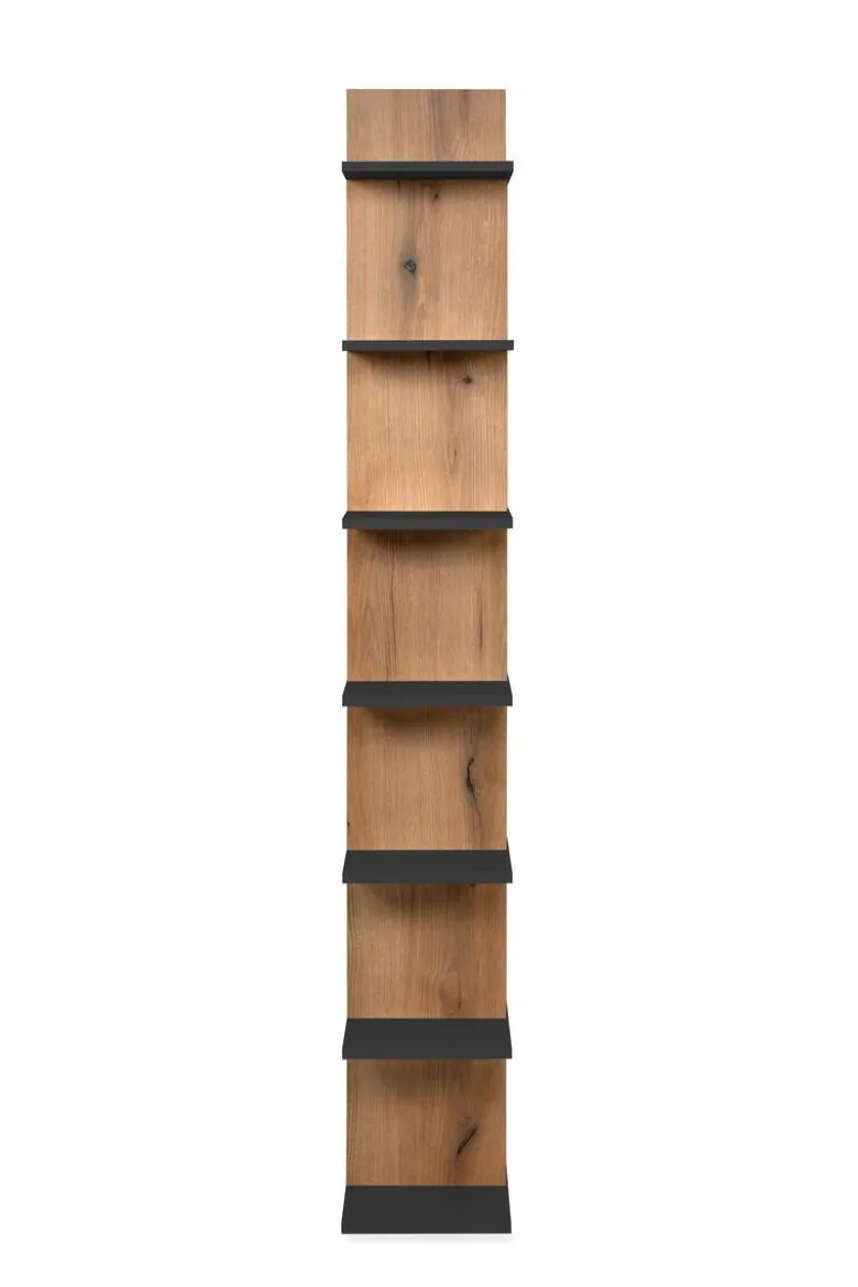 Regal Navas 20A Eiche Artisan Nachbildung anthrazit B/H/T: ca. 80x173x25 cm
