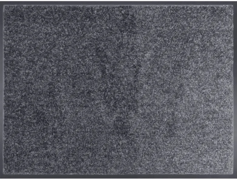 Schmutzfangmatte Alpha anthrazit B/L: ca. 40x60 cm