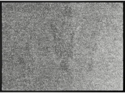 Schmutzfangmatte Alpha grau B/L: ca. 40x60 cm