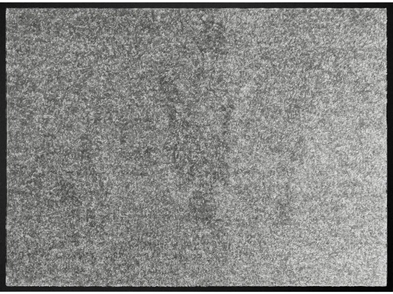 Schmutzfangmatte Alpha grau B/L: ca. 40x60 cm