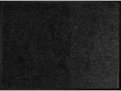 Schmutzfangmatte Alpha schwarz B/L: ca. 40x60 cm