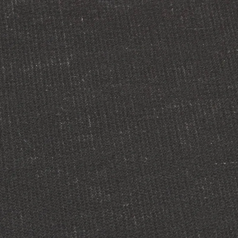 Schmutzfangmatte Emotion XS schwarz B/L: ca. 40x80 cm
