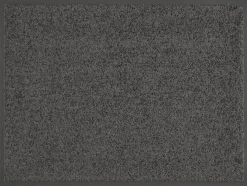 Schmutzfangmatte Future anthrazit B/L: ca. 40x60 cm