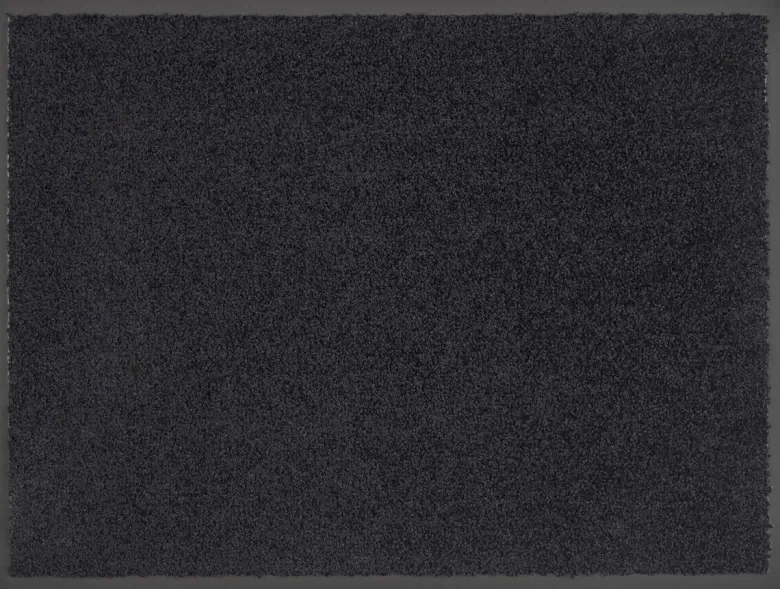 Schmutzfangmatte Future Graphit B/L: ca. 40x60 cm