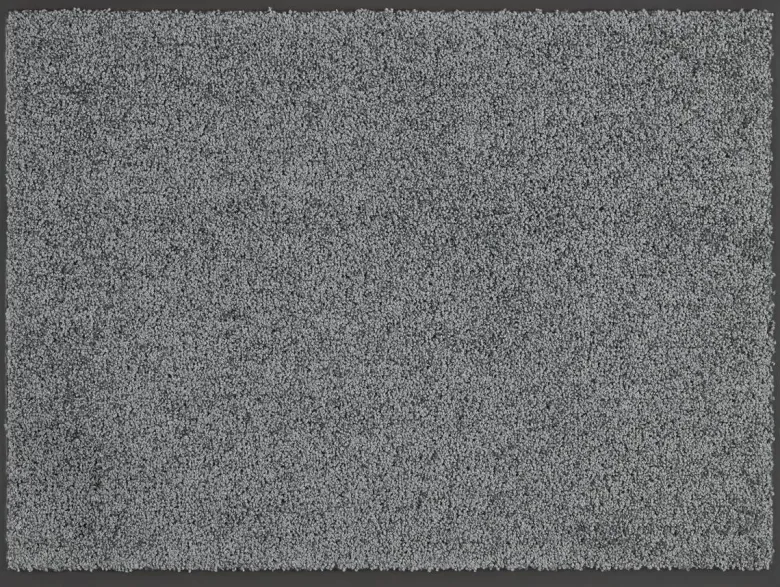 Schmutzfangmatte Future grau B/L: ca. 80x120 cm