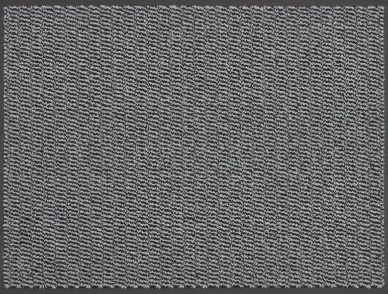 Schmutzfangmatte Spectrum grau B/L: ca. 40x60 cm