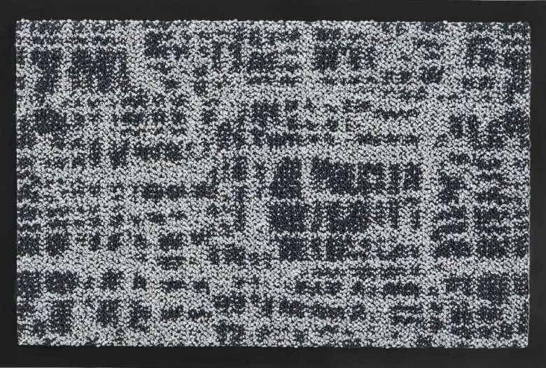 Schmutzfangmatte Traffic grau B/L: ca. 40x60 cm