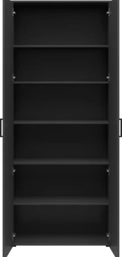 Schrank Multi-Stauraum Typ 37 anthrazit B/H/T: ca. 80x195x40 cm