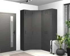 Schrank Multi-Stauraum Typ 37 anthrazit B/H/T: ca. 80x195x40 cm