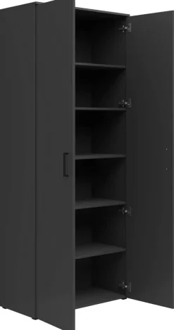 Schrank Multi-Stauraum Typ 37 anthrazit B/H/T: ca. 80x195x40 cm