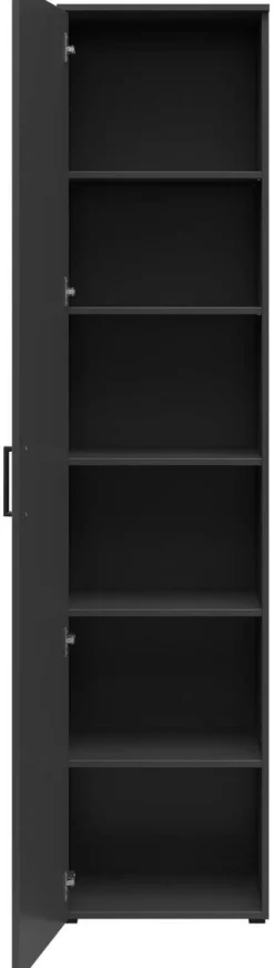 Schrank Multi-Stauraum Typ 20 anthrazit B/H/T: ca. 45x195x40 cm