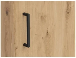 Schrank Multi-Stauraum Typ 20 Eiche Artisan Nachbildung B/H/T: ca. 45x195x40 cm