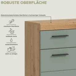 Schrank Scout Eiche Artisan Nachbildung salbei Nachbildung B/H/T: ca. 74x88x31 cm