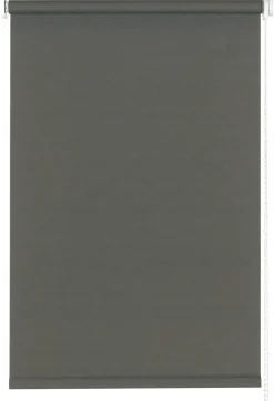 Sensation Klemmrollo Champion grau B/L: ca. 45x150 cm