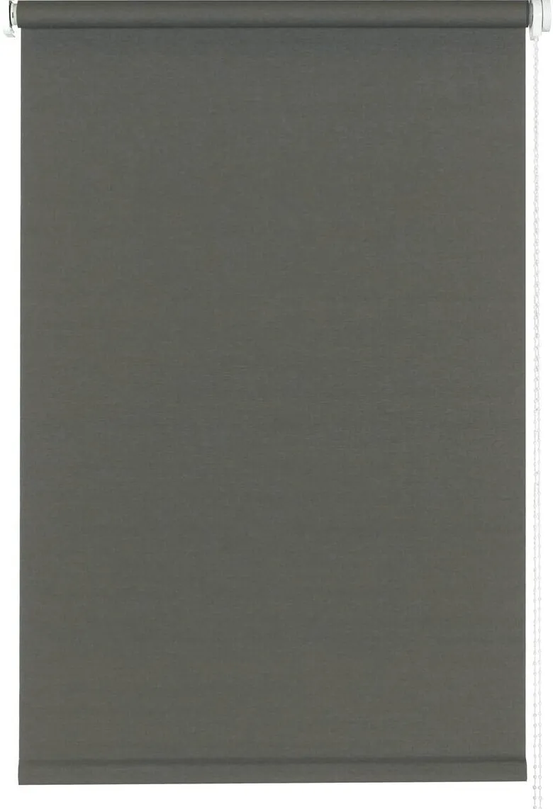 Sensation Klemmrollo Champion grau B/L: ca. 45x150 cm