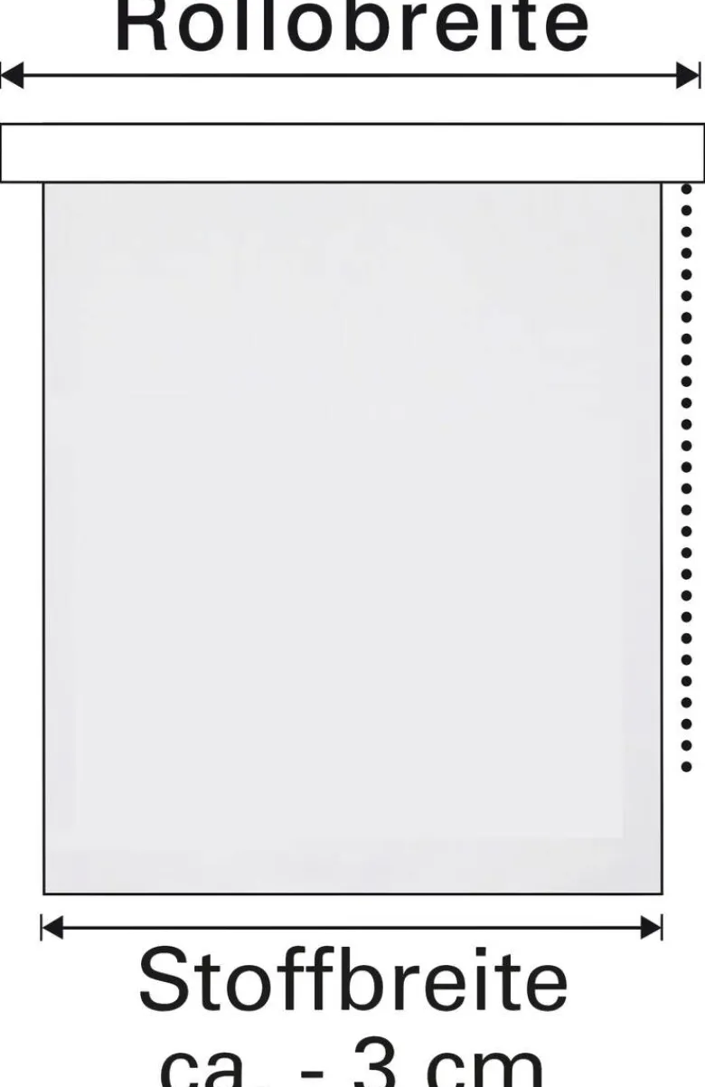 Sensation Klemmrollo Champion grau B/L: ca. 45x150 cm