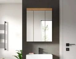 Spiegelschrank Scout Eiche Artisan Nachbildung salbei Nachbildung B/H/T: ca. 60x79x18 cm