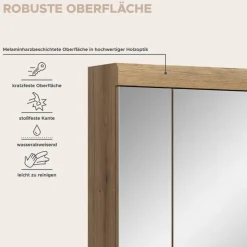 Spiegelschrank Scout Evoke Oak Nachbildung Spiegel B/H/T: ca. 60x79x18 cm