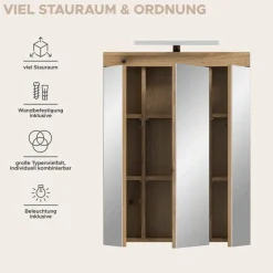 Spiegelschrank Scout Evoke Oak Nachbildung Spiegel B/H/T: ca. 60x79x18 cm