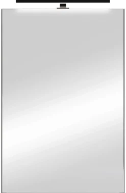Spiegelschrank SPREE anthrazit B/H/T: ca. 40x60x15 cm