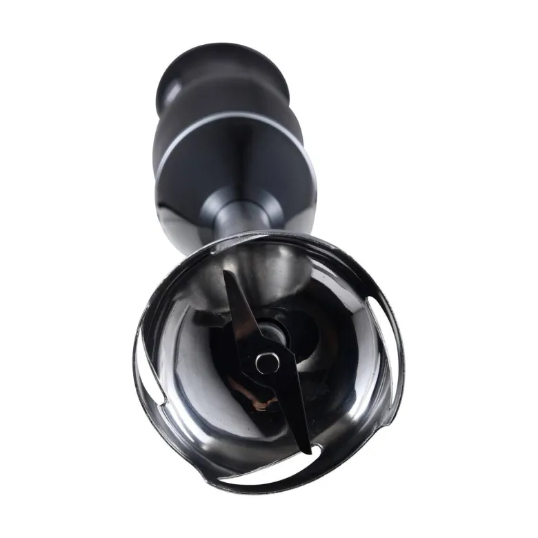 SWISS HOME Stabmixer