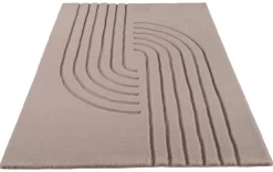 Teppich Alaska dunkelbeige B/L: ca. 160x220 cm
