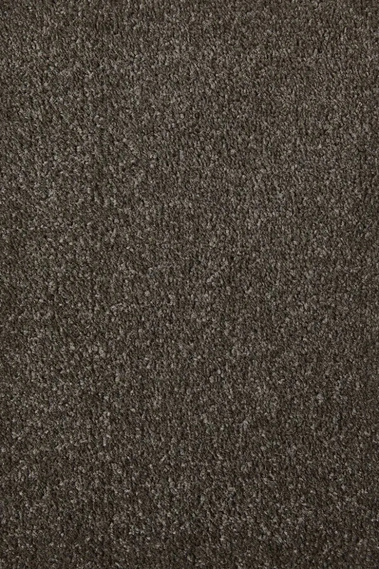 Teppichboden Sara braungrau B/L: ca. 200x400 cm pro Stück
