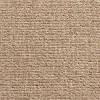 Teppichboden Torpedo dunkelbeige B: ca. 400 cm pro m²