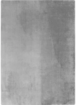 Teppich Joy silber B/L: ca. 160x220 cm