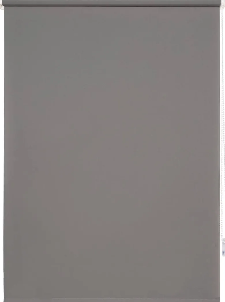Thermorollo Win grau B/L: ca. 75x160 cm