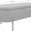 Truhe NOVA grau B/H/T: ca. 95x42x37,5 cm