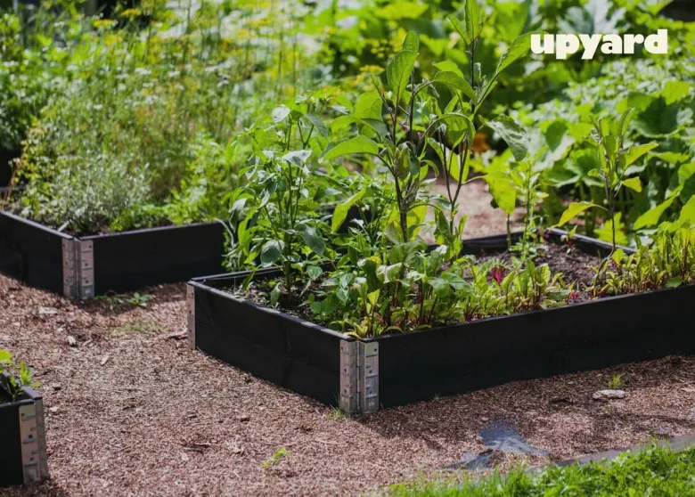 UPYARD Hochbeet INDUSTRIAL schwarz Holz B/L: ca. 80x120 cm