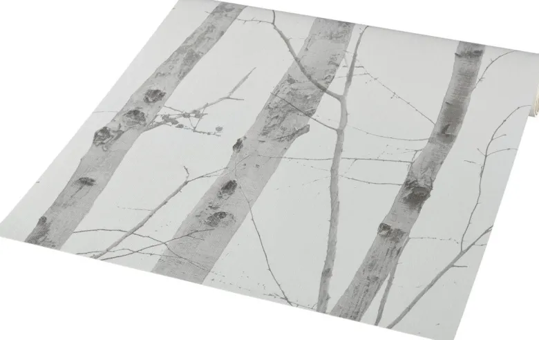 Vliestapete Birkenwald grau creme B/L: ca. 53x1005 cm