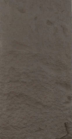 Wandpaneel PU Stone 2er-Set Vulcangrau L/B/H: ca. 120x60x3 cm pro Stück